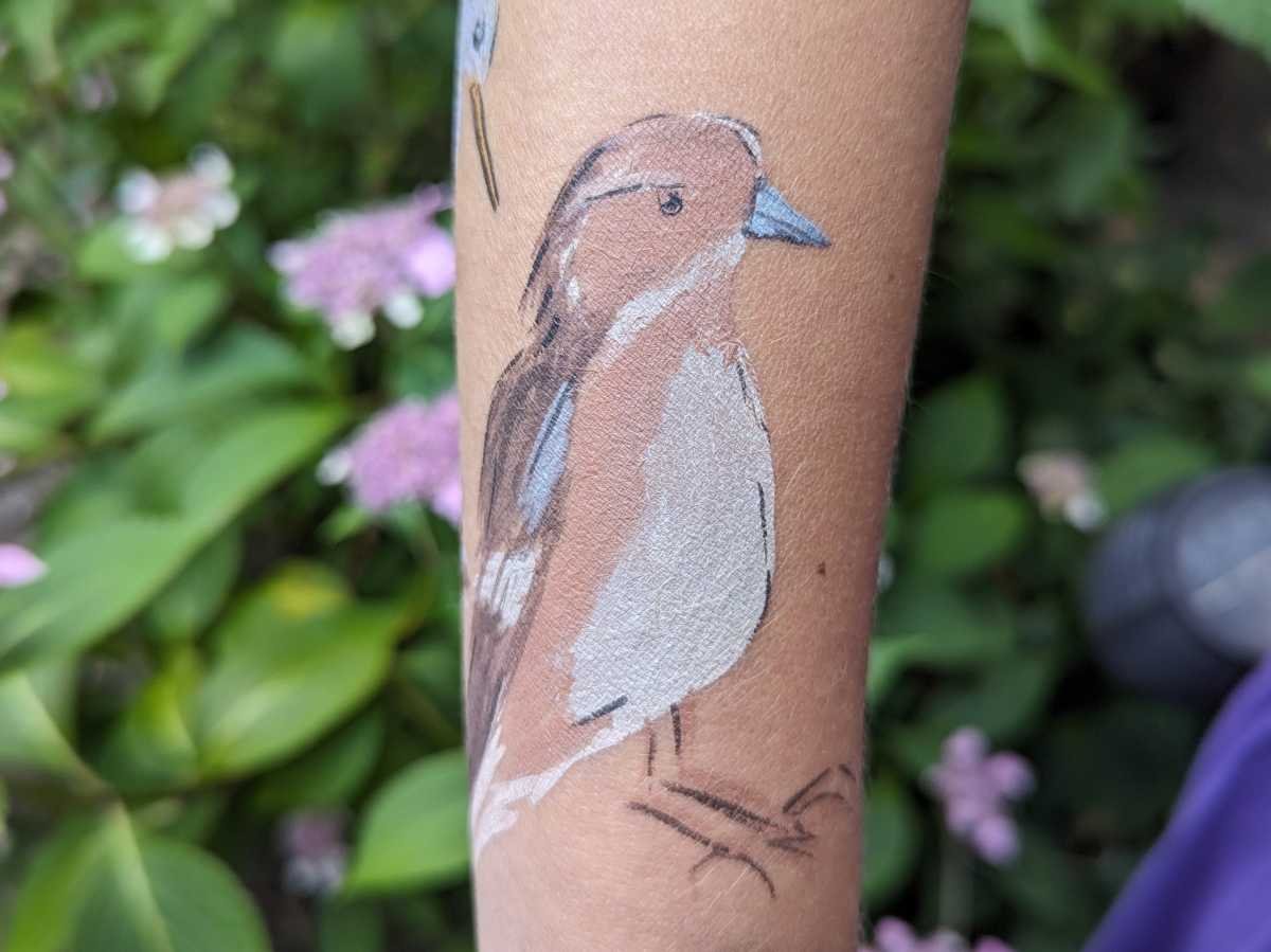 PXL_20230706_142953457